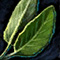 Sage Leaf[pl: