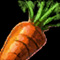 Carrot[s]