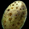 Rotten Drake Egg