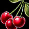 Cherry[pl: