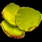 Yellow Iris Petal
