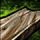 Elder Wood Plank[s]